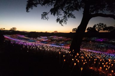Sensorio Field of Lights in Paso Robles, California