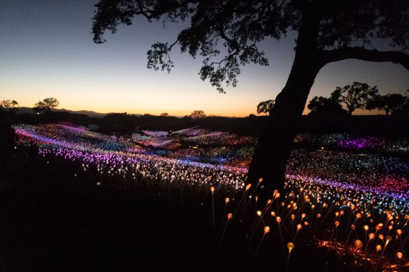 Sensorio Field of Lights in Paso Robles, California